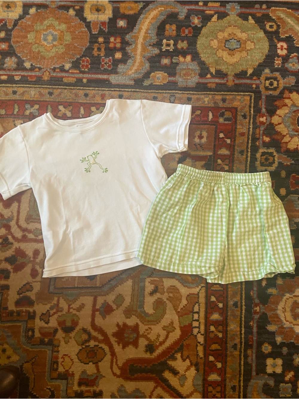 Red Beans White Tee with Green Embroidered Frog and Green Gingham Shorts 5T